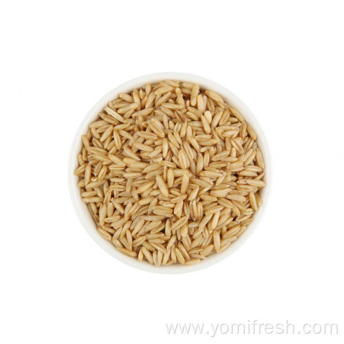 Oat Wheat Rice